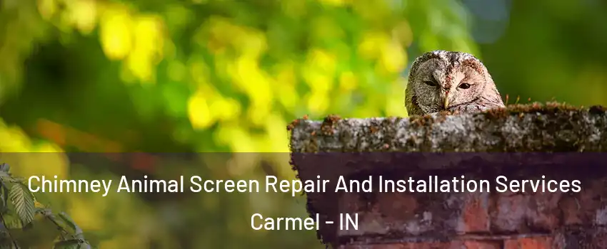  Chimney Animal Screen Repair And Installation Services Carmel - IN