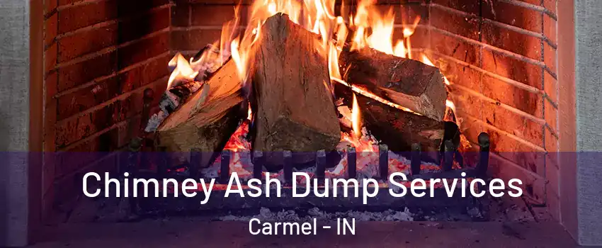  Chimney Ash Dump Services Carmel - IN