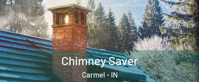  Chimney Saver Carmel - IN