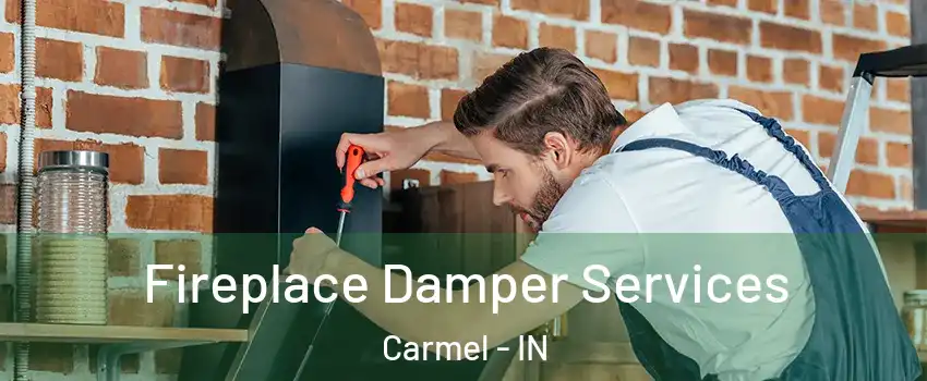  Fireplace Damper Services Carmel - IN