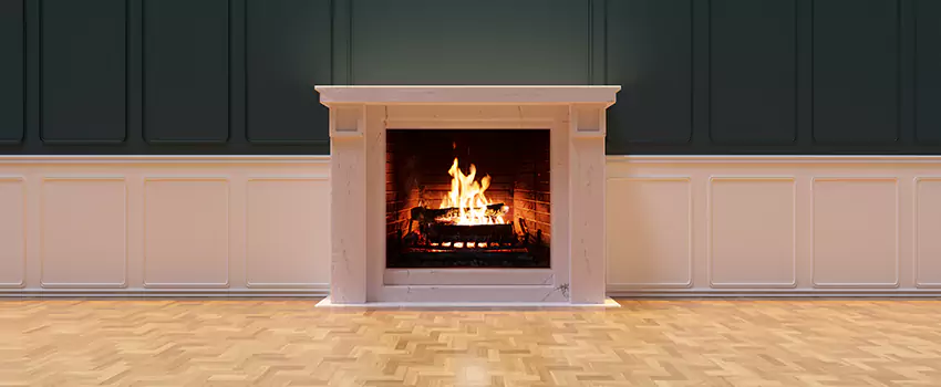 Napoleon Electric Fireplaces Inspection Service in Carmel, Indiana