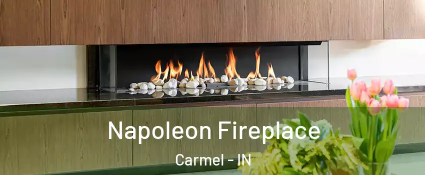  Napoleon Fireplace Carmel - IN