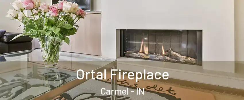  Ortal Fireplace Carmel - IN